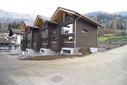 Reiheneinfamilienhaus konsequent in Holz, gesundes Innenraumklima durch Abschirmung von Elektrosmog. Materialien wie z.B. Radiatoren aus Gebrauchtwarenhandel