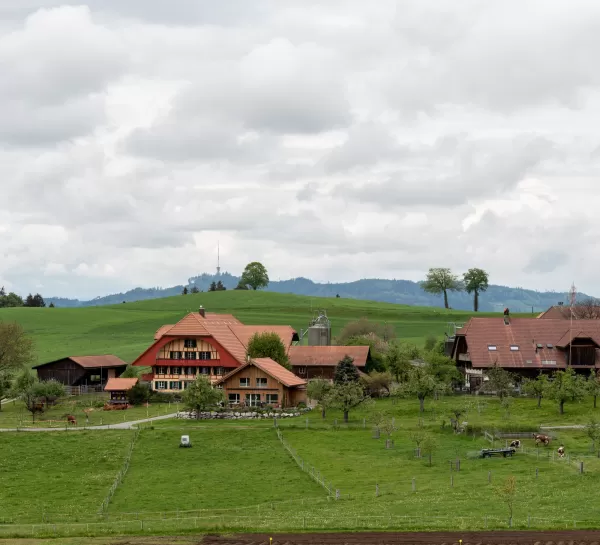 Neubau Stöckli aus Truberholzelemente in Gysestein